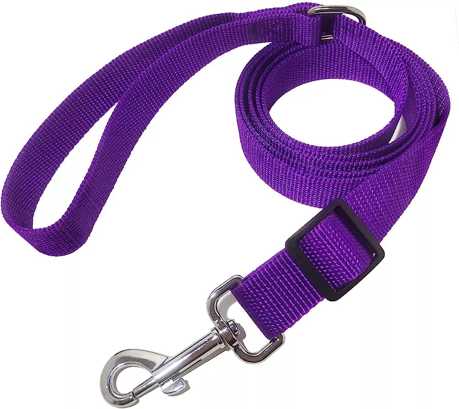 Correa Perro Nylon N¼ 1